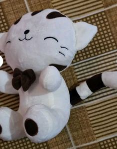 Cute Cat 🐈 Plush Toy 🧸