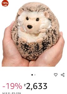 Collectible Hedgehog Stuffed Toy