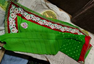 Green Embellished Saree