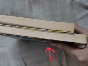 Novel - Love, A Rather Bad Idea (40 Rs)