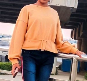 ZARA Winter Crop Top