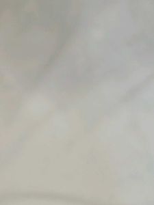 White Polo Shirt