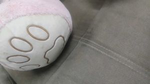 Pink Hoodie Teddy Bear(fixed price)