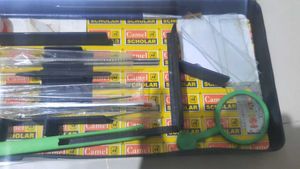 Camal Dissection Box