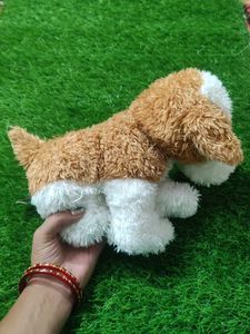 Cute Puppy 🐶