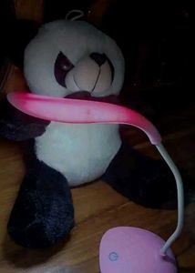 Cute Panda Plush with Pink Lamp