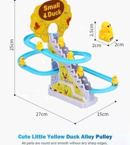 Duck Race Track Toy