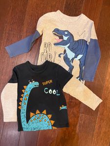 Combo Of Dinosaur T-shirts