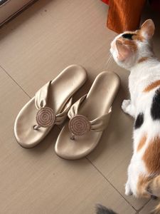 Elegant Gold Sandals