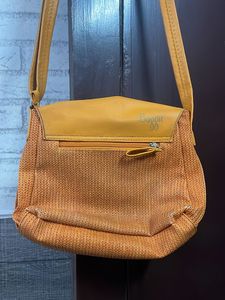Baggit Originals Sling Bag With Back Zipper