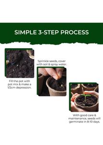 Cosmos Grow Kit