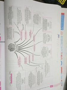 Class 10 Oswaal English Question Bank