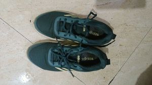 Adidas Green Sports shoes