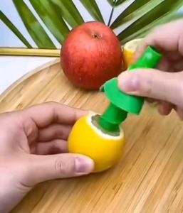 Citrus Fruit Juice Sprayer (Set of 2)