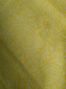Yellow Paisley Saree