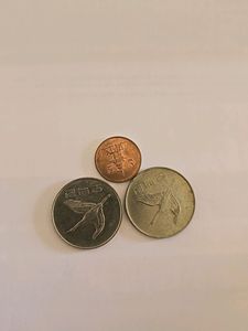 South Korean Won