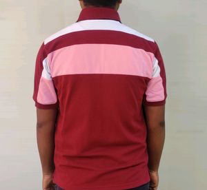 Multi Colour Premium Collar Tees For Men &amp; Boys