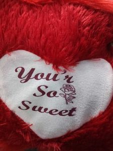 A Soft Teddy Pillow
