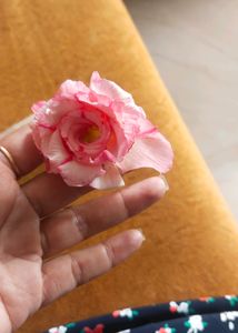 Adenium Double Petal Pink Flower Seeds 5