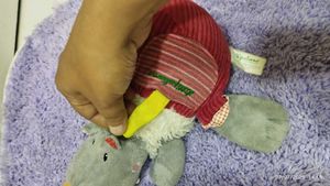 Lilliputiens Baby Interactive Toy