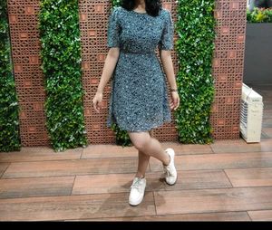 Floral Print Fit & Flare Dress