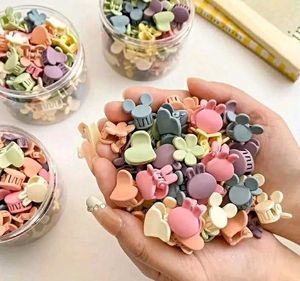25 Peice Mix Design Hair Clip