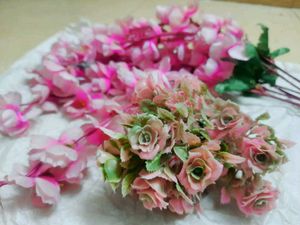FLOWER 🌺SWEET HOME