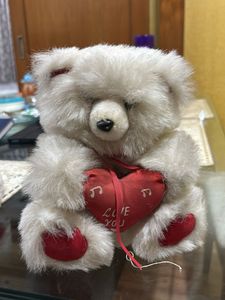 Cute Teddy
