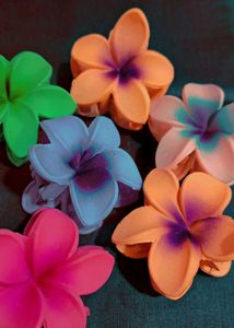 Colorful Flower Hair Clips - Set of 6