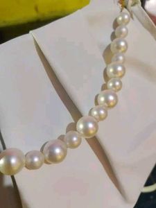 Stylish Stainless Steel Multiple Space Stan