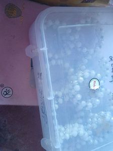 Bangles &amp; Bracelets set of 8 with 1 free