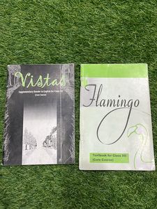 Class 12 - Vistas And Flamingo