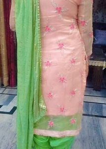 Elegant Embroidered Kurta Set. no damages
