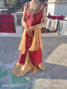 Elegant Ethnic Dress