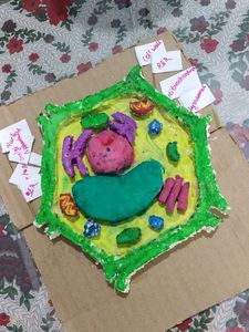 3-D Model Of Plant Cell