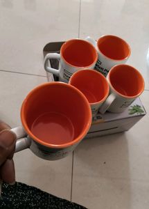 New Hp Cups Standard