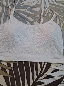 Combo Of Four  Sports Bra Calvin  Klein