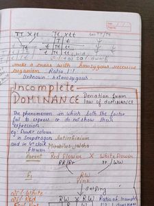 Ncert Biology Notes Class 12