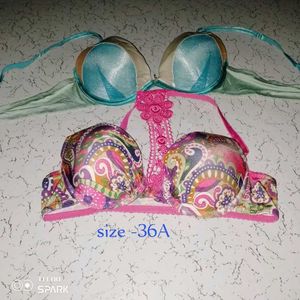Paisley Print Bra 2pic