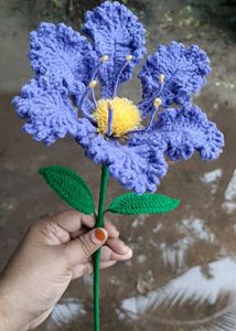 Crape myrtle flower