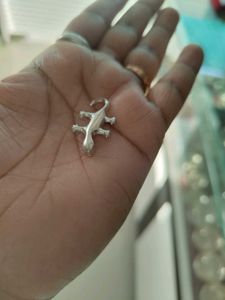 Pure Silver Lizard Nd Tortoise Fir Laxmi Pooja.