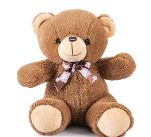 Premium Bear Soft Toys