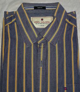 Striped formal shirt