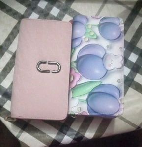 Clutch/Wallet
