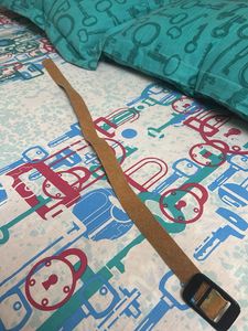 Belt