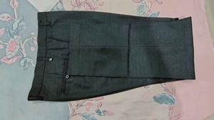 Partywear shimmer Pant for Men