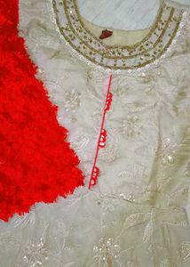 Beautiful Red Sleeves Gawn