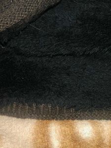 Wooly Topi
