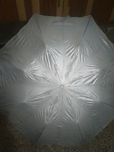 STAG UMBRELLA