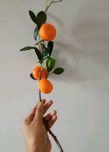 Home Centre&#39;s  Orange And Pomegranate Sticks